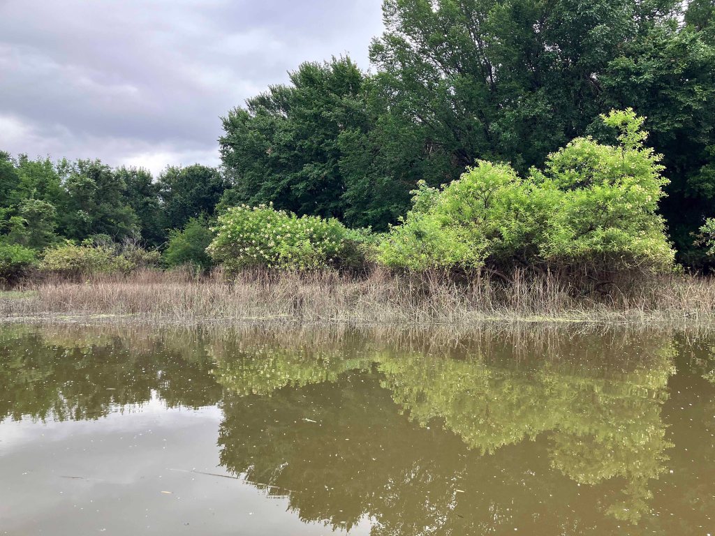Kayak Paddle Scenery Picture Elm Fork Trinity, Five Lakes, McInnish Park www.SawdustRiver.com