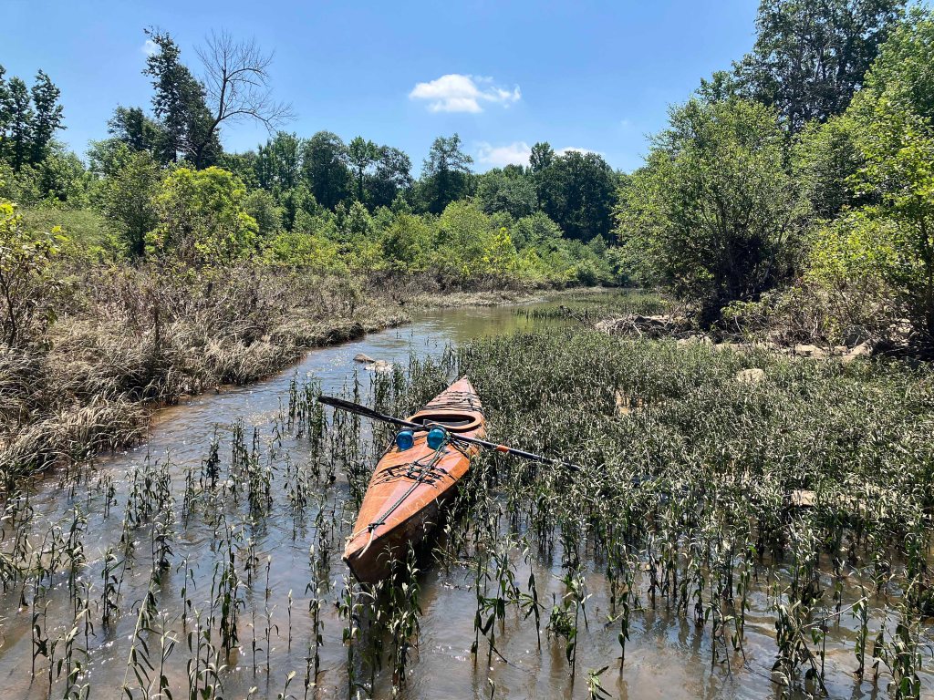 Kayak Paddle Scenery Picture Hugo WMA, Kiamichi River, Frazier Creek, Rock Creek Oklahoma www.SawdustRiver.com