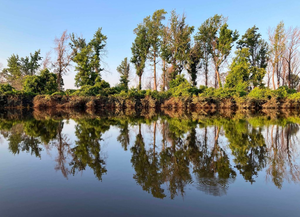 Kayak Paddle Scenery Picture Hugo WMA, Kiamichi River, Long Creek, Oklahoma www.SawdustRiver.com