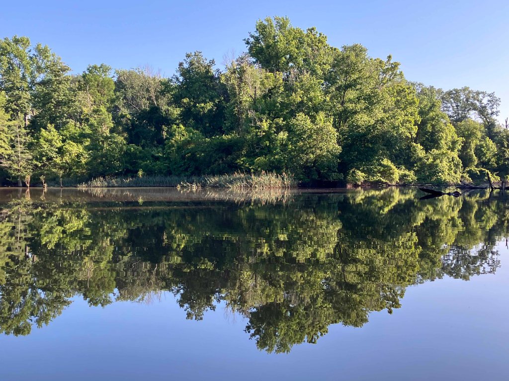 Kayak Paddle Scenery Picture Cossatot River, LIttle River, Pond Creek NWR, Arkansas www.SawdustRiver.com