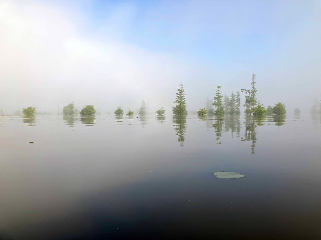 Kayak Paddle Scenery Picture Little River, Millwood Lake, B Arkansas www.SawdustRiver.com