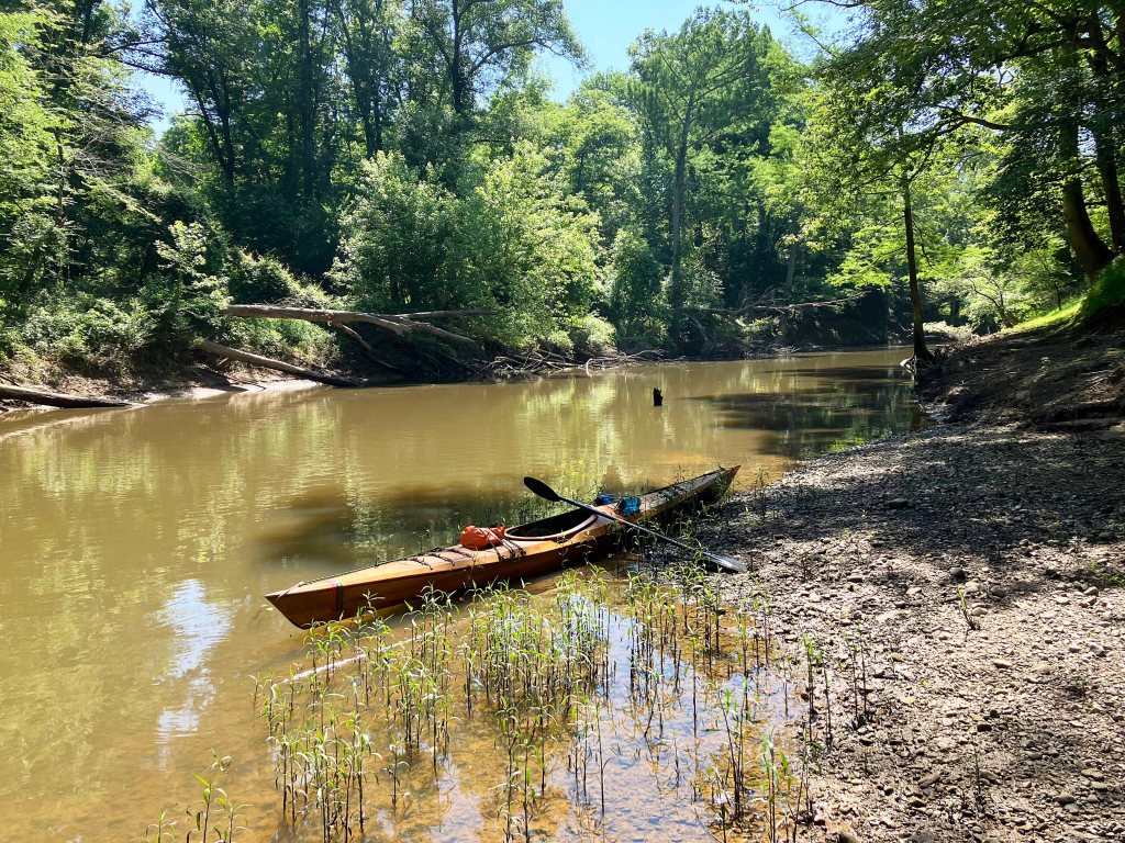 Kayak Paddle Scenery Picture Cossatot River, LIttle River, Pond Creek NWR, Arkansas www.SawdustRiver.com