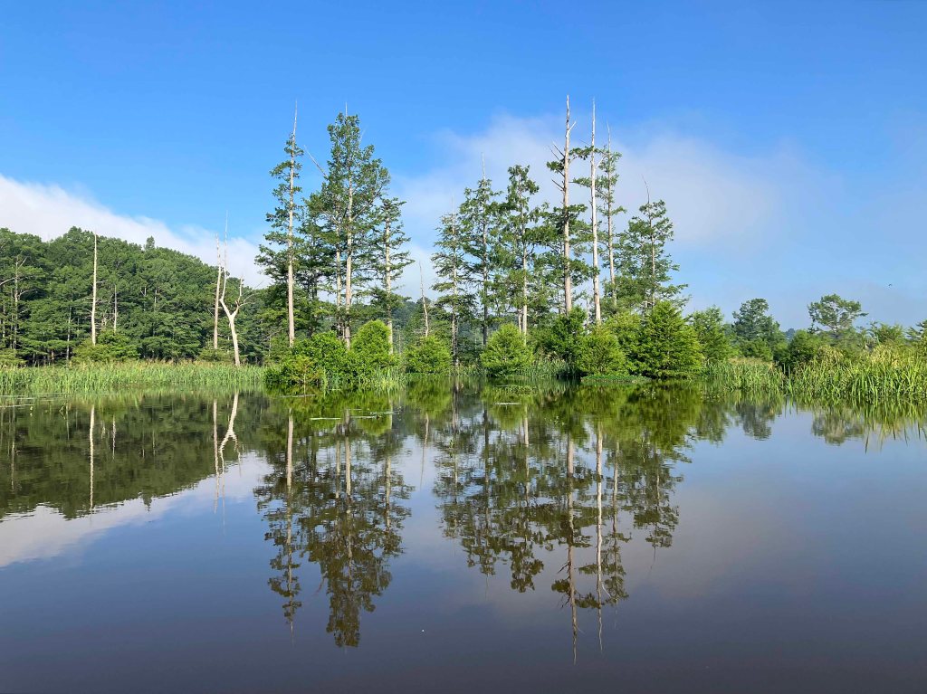 Kayak Paddle Scenery Picture Little River, Millwood Lake, B Arkansas www.SawdustRiver.com