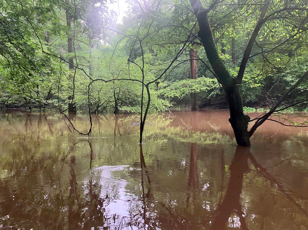 Kayak Paddle Scenery Picture Pond Creek, Pond Creek NWR, Arkansas www.SawdustRiver.com