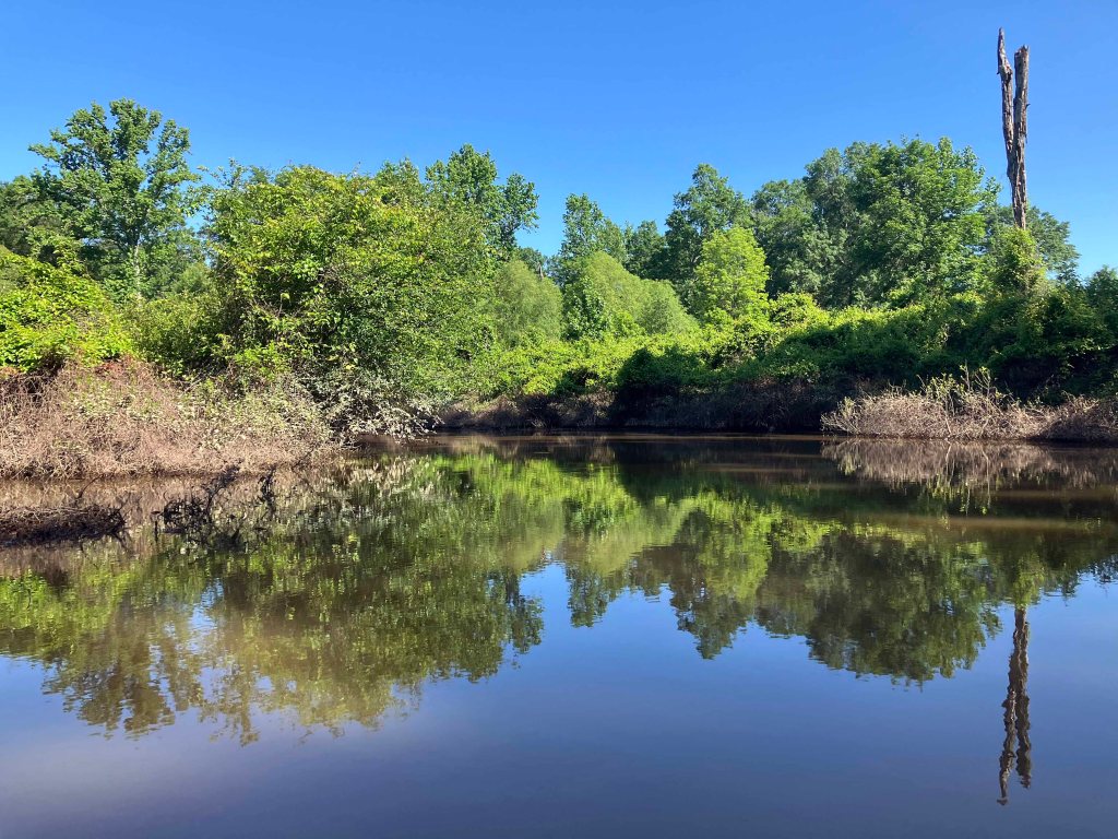 Kayak Paddle Scenery Picture Hugo WMA, Kiamichi River, Rattan Landing, OK B www.SawdustRiver.com