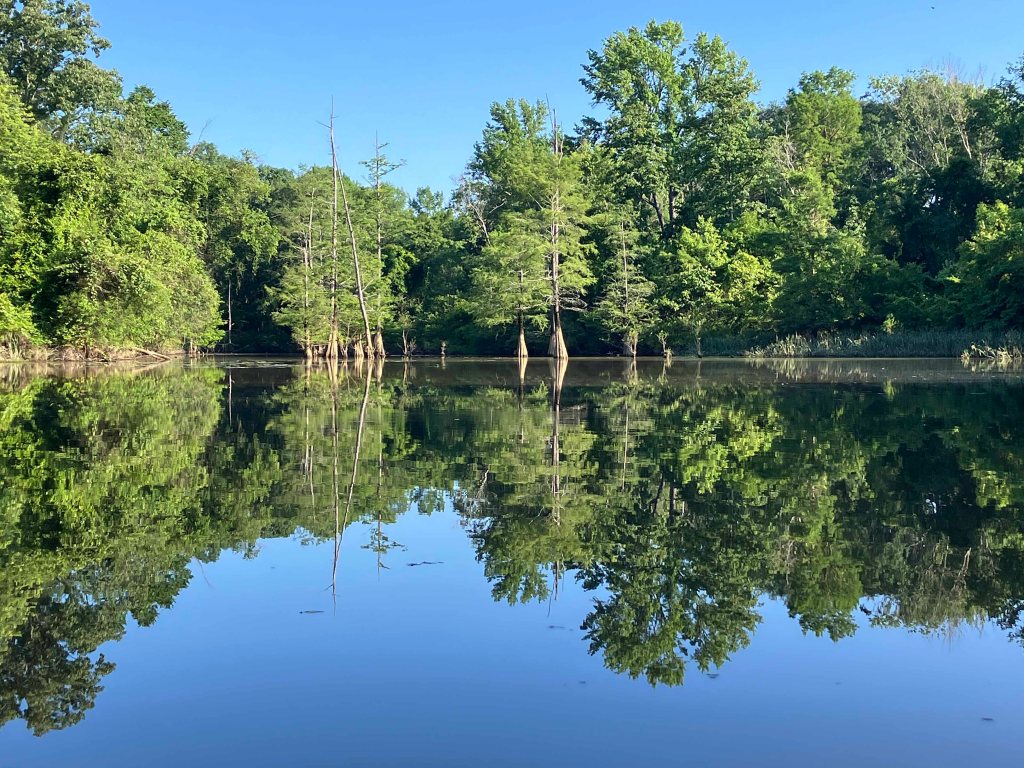 Kayak Paddle Scenery Picture Cossatot River, LIttle River, Pond Creek NWR, Arkansas www.SawdustRiver.com