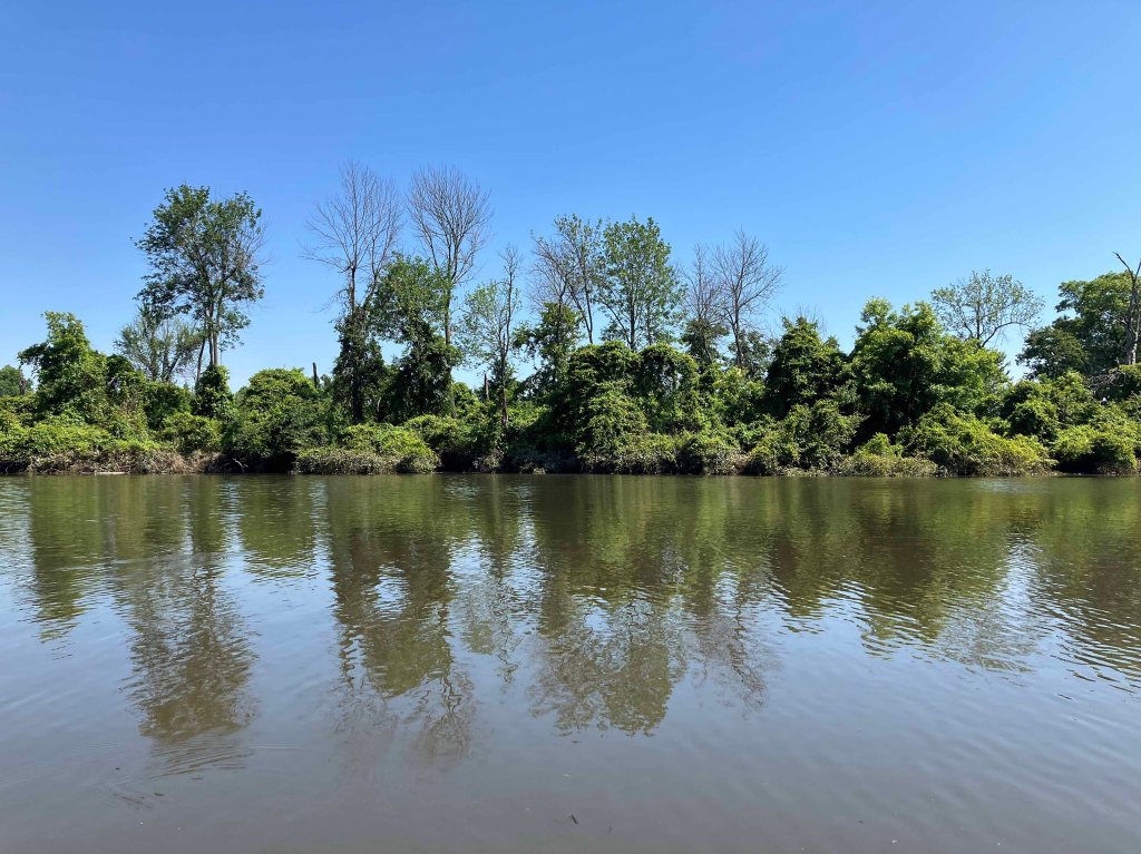 Kayak Paddle Scenery Picture Hugo WMA, Kiamichi River, Frazier Creek, Rock Creek Oklahoma www.SawdustRiver.com