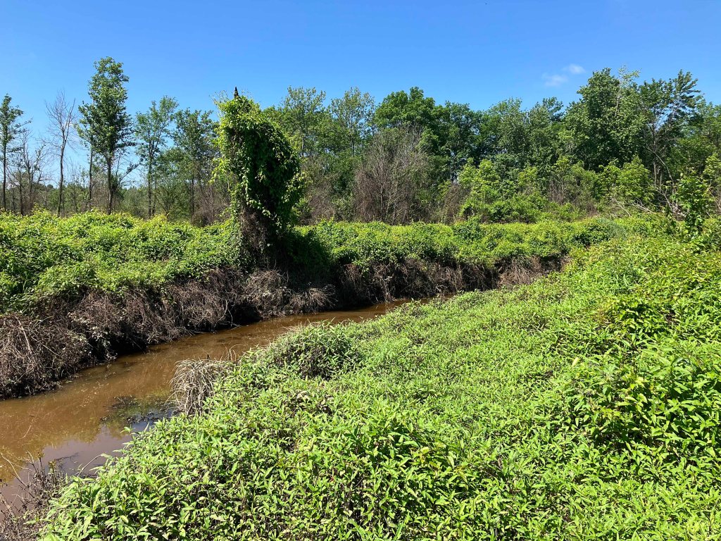 Kayak Paddle Scenery Picture Hugo WMA, Kiamichi River, Rattan Landing, OK B www.SawdustRiver.com