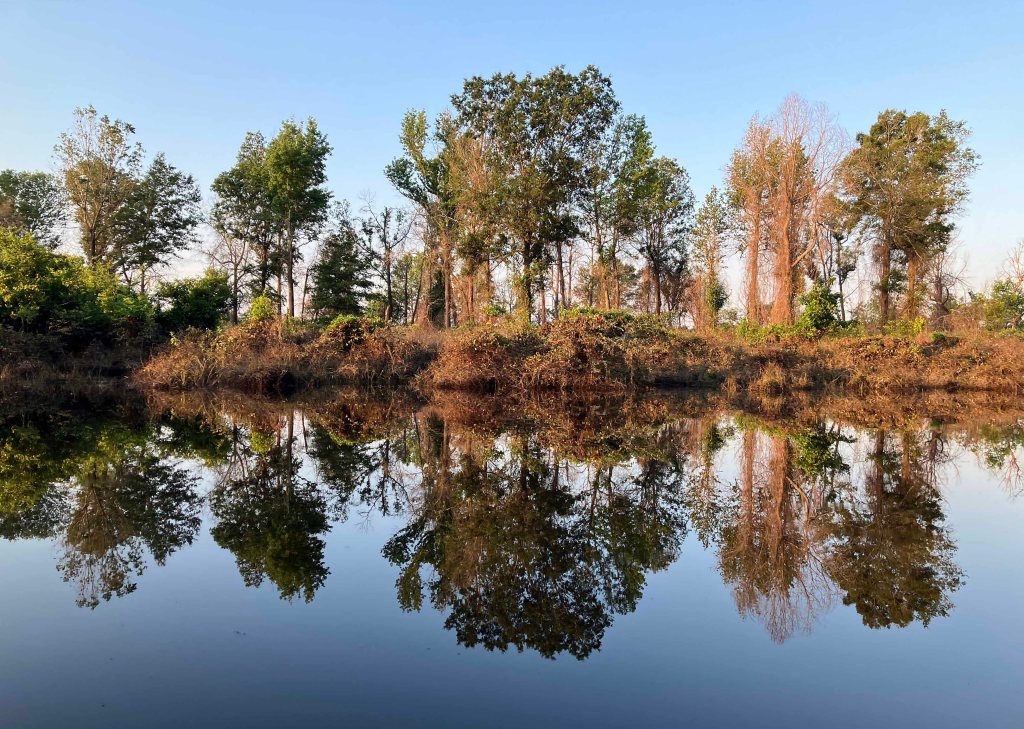 Kayak Paddle Scenery Picture Hugo WMA, Kiamichi River, Long Creek, Oklahoma www.SawdustRiver.com