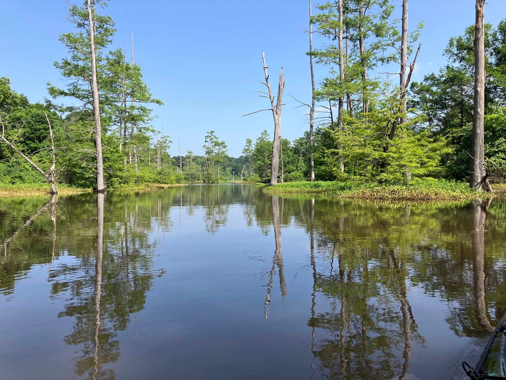 Kayak Paddle Scenery Picture Little River, Millwood Lake, A Arkansas www.SawdustRiver.com