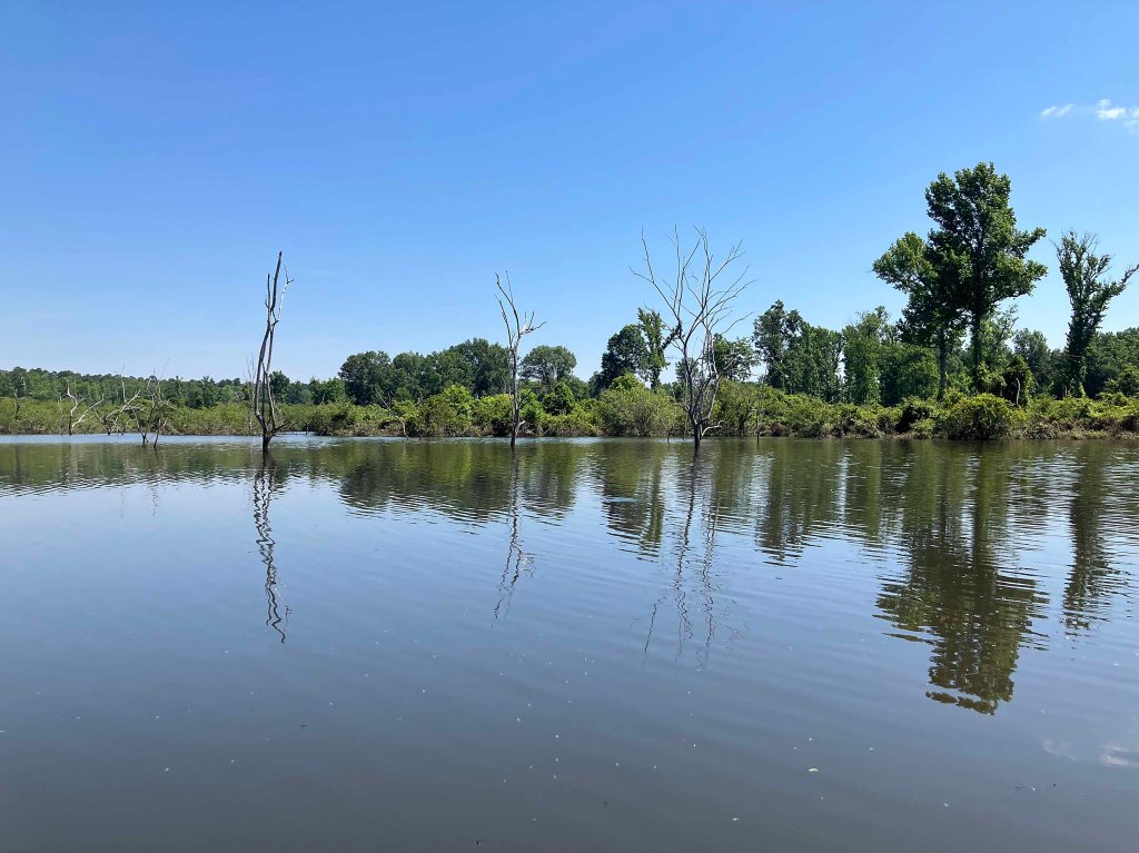 Kayak Paddle Scenery Picture Hugo WMA, Kiamichi River, Frazier Creek, Rock Creek Oklahoma www.SawdustRiver.com