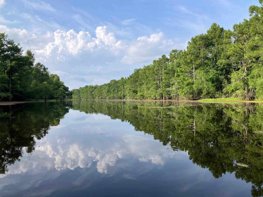 Kayak Paddle Scenery Picture Beards Lake, Millwood Lake, Arkansas www.SawdustRiver.com