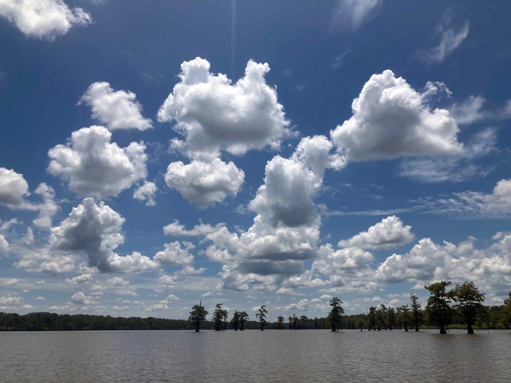 Kayak Paddle Scenery Picture Felsenthal NWR Beer Joint Arkansas www.SawdustRiver.com