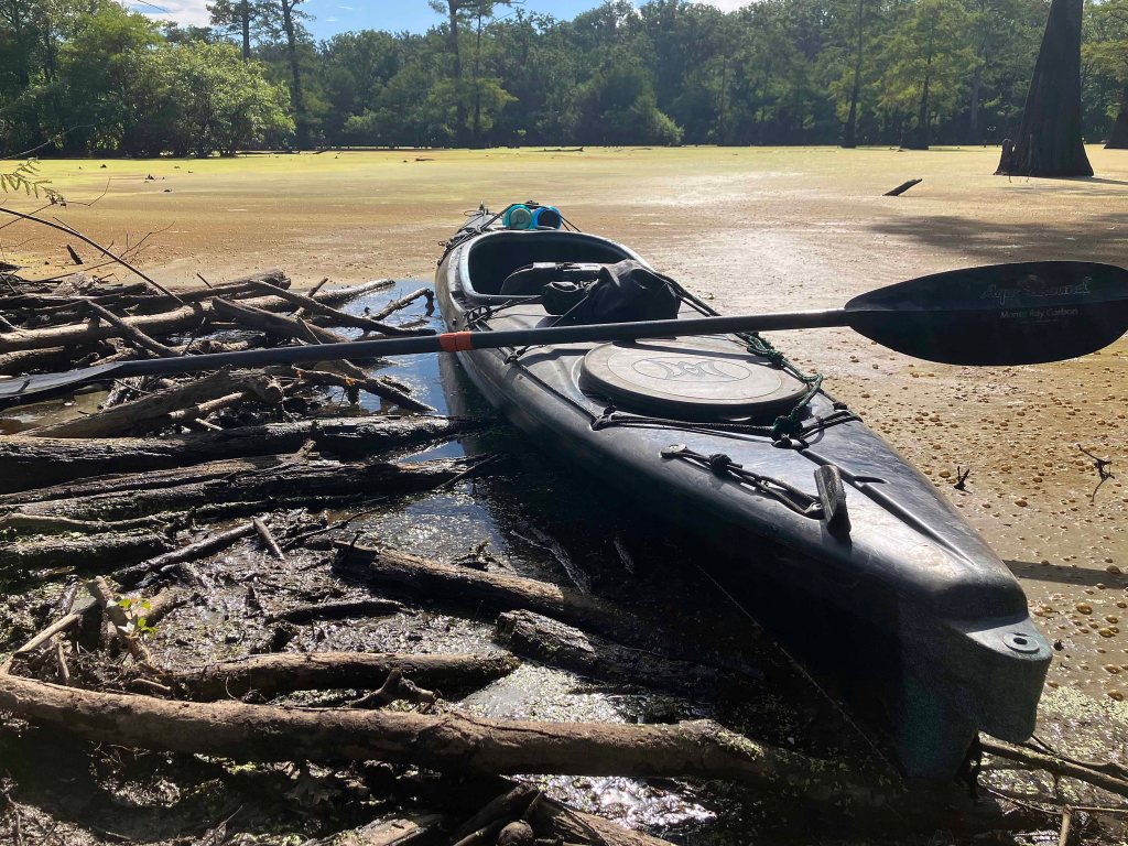 Kayak Paddle Scenery Picture Felsenthal NWR Beer Joint Arkansas www.SawdustRiver.com