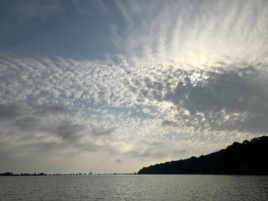 Kayak Paddle Scenery Picture Little River, Millwood Lake, Arkansas www.SawdustRiver.com