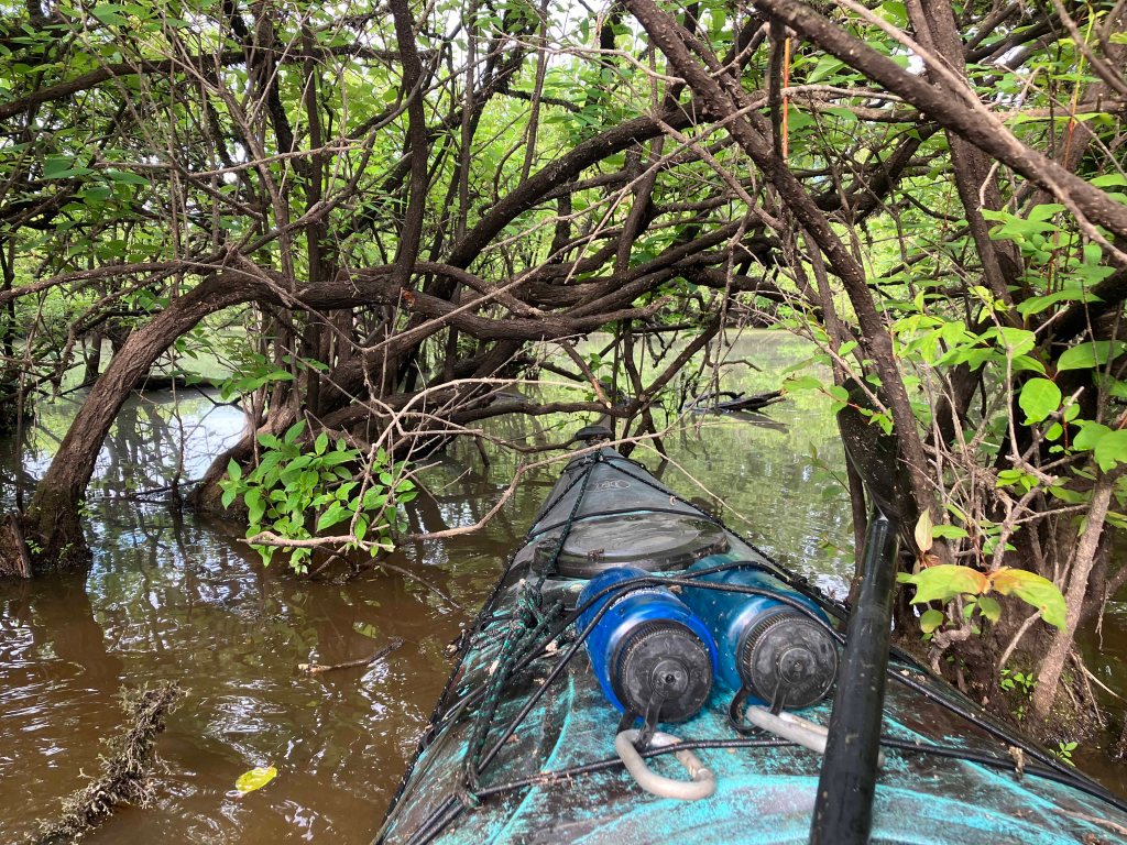 Kayak Paddle Scenery Picture Felsenthal NWR Beer Joint Arkansas www.SawdustRiver.com