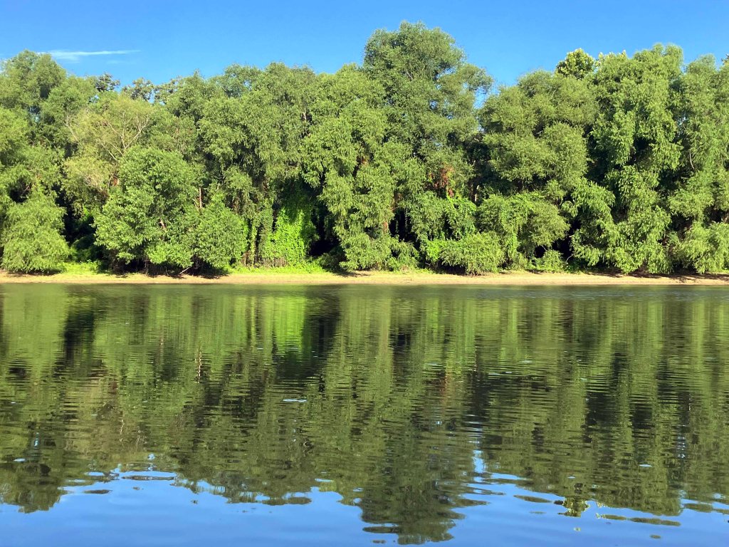 Kayak Paddle Scenery Picture Felsenthal NWR Beer Joint Arkansas www.SawdustRiver.com