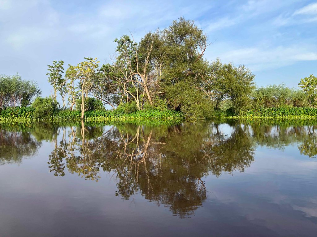 Kayak Paddle Scenery Picture Steinhagen Martin Dies State Park G www.SawdustRiver.com