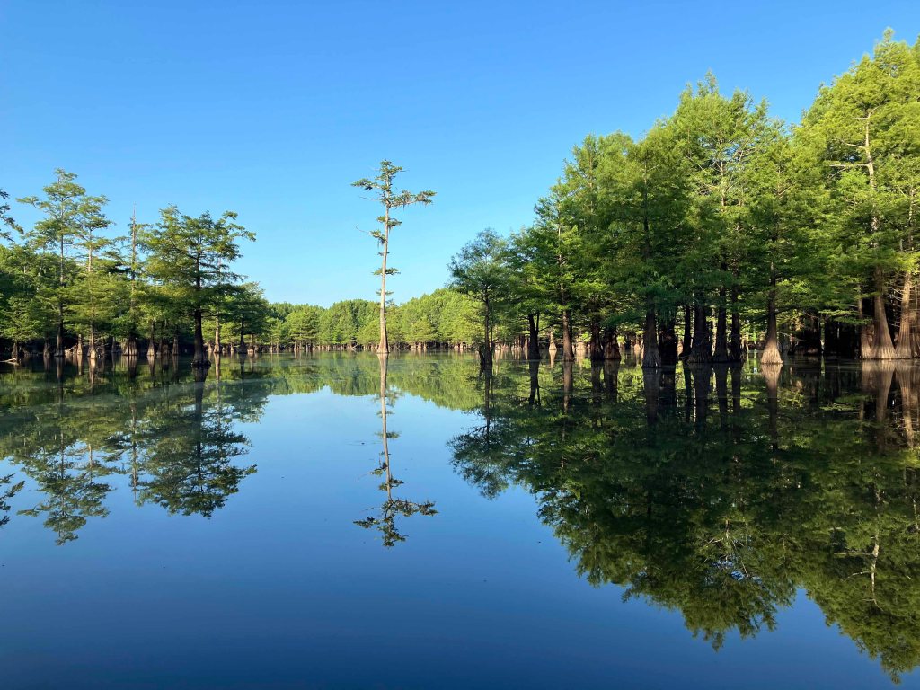 Kayak Paddle Scenery Picture Felsenthal NWR Arkansas www.SawdustRiver.com