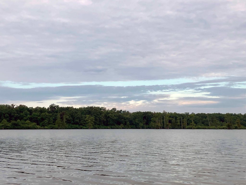 Kayak Paddle Scenery Picture Felsenthal NWR Beer Joint Arkansas www.SawdustRiver.com