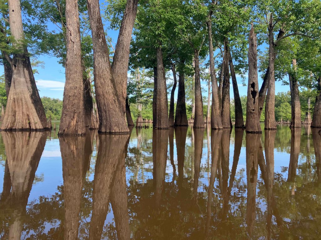 Kayak Paddle Scenery Picture Felsenthal NWR Beer Joint Arkansas www.SawdustRiver.com