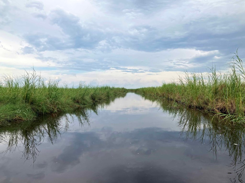Kayak Paddle Scenery Picture Texas Point NWR, Sabine Pass www.SawdustRiver.com
