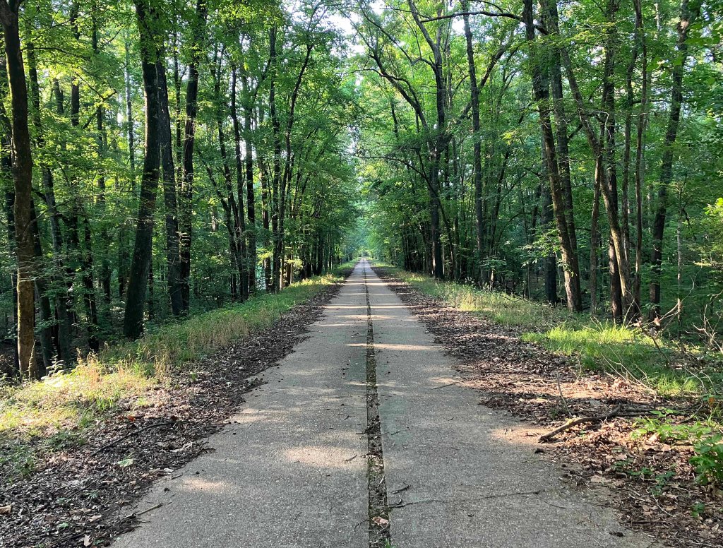 Kayak Paddle Scenery Picture Little River, Millwood Lake, Arkansas www.SawdustRiver.com
