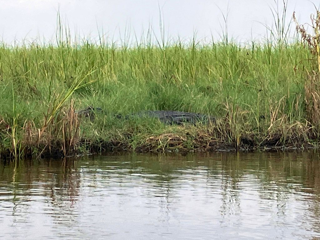 Kayak Paddle Scenery Picture Texas Point NWR, Sabine Pass www.SawdustRiver.com