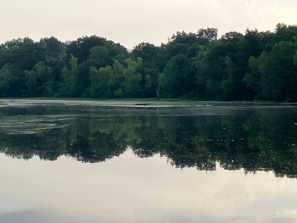 Kayak Paddle Scenery Picture Beards Lake, Millwood Lake, Arkansas www.SawdustRiver.com