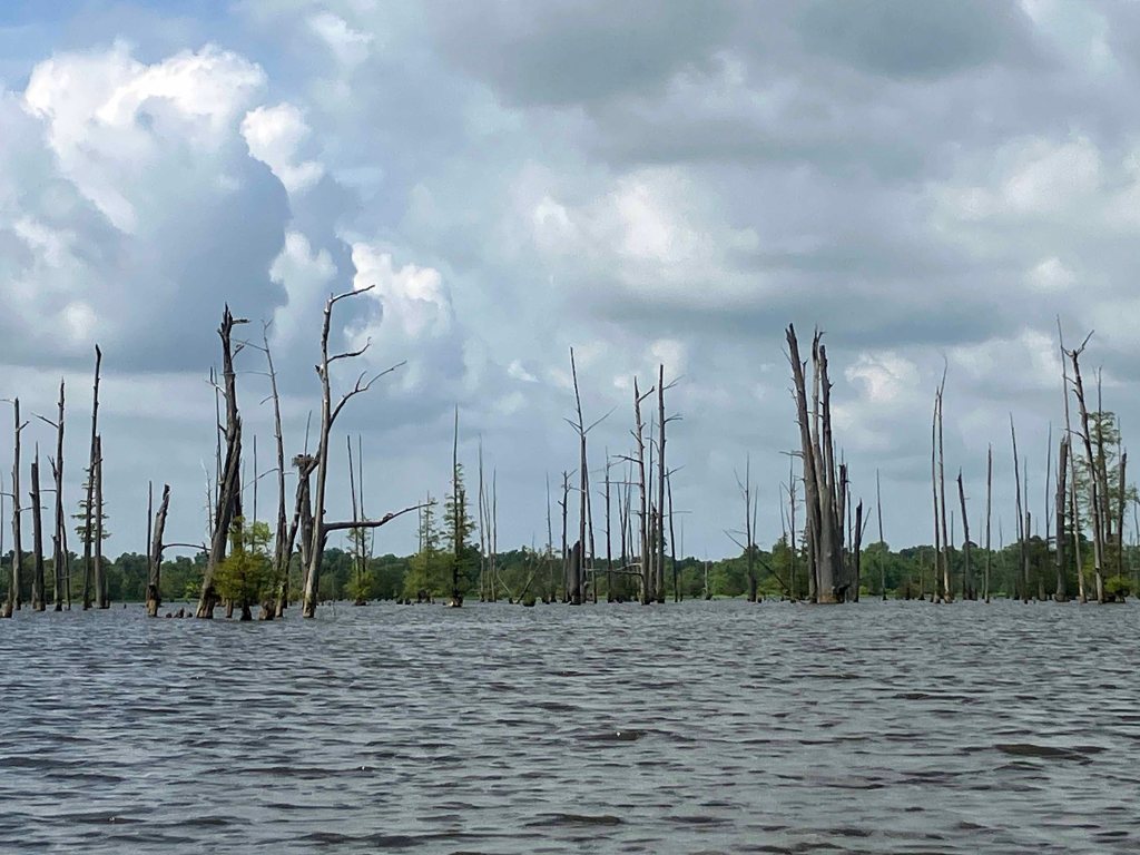 Kayak Paddle Scenery Picture Little River, Millwood Lake, Arkansas www.SawdustRiver.com