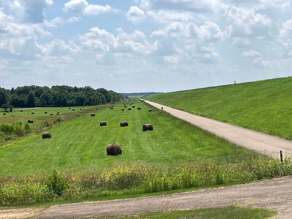 Kayak Paddle Scenery Picture Beards Lake, Millwood Lake, Arkansas www.SawdustRiver.com