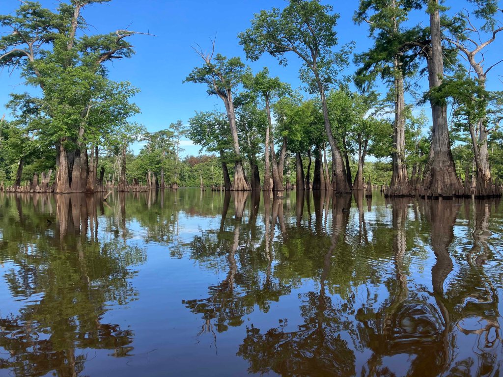 Kayak Paddle Scenery Picture Felsenthal NWR Beer Joint Arkansas www.SawdustRiver.com
