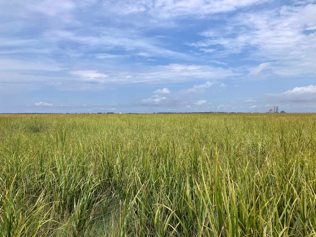 Kayak Paddle Scenery Picture Texas Point NWR, Sabine Pass www.SawdustRiver.com