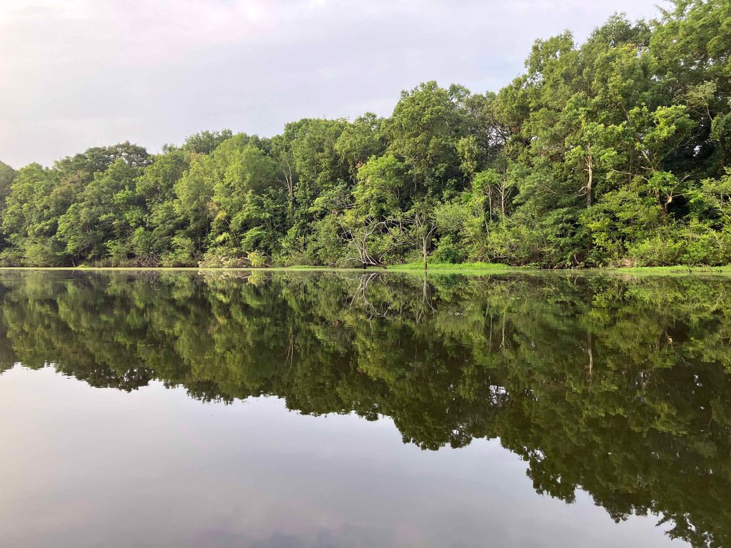 Kayak Paddle Scenery Picture Beards Lake, Millwood Lake, Arkansas www.SawdustRiver.com