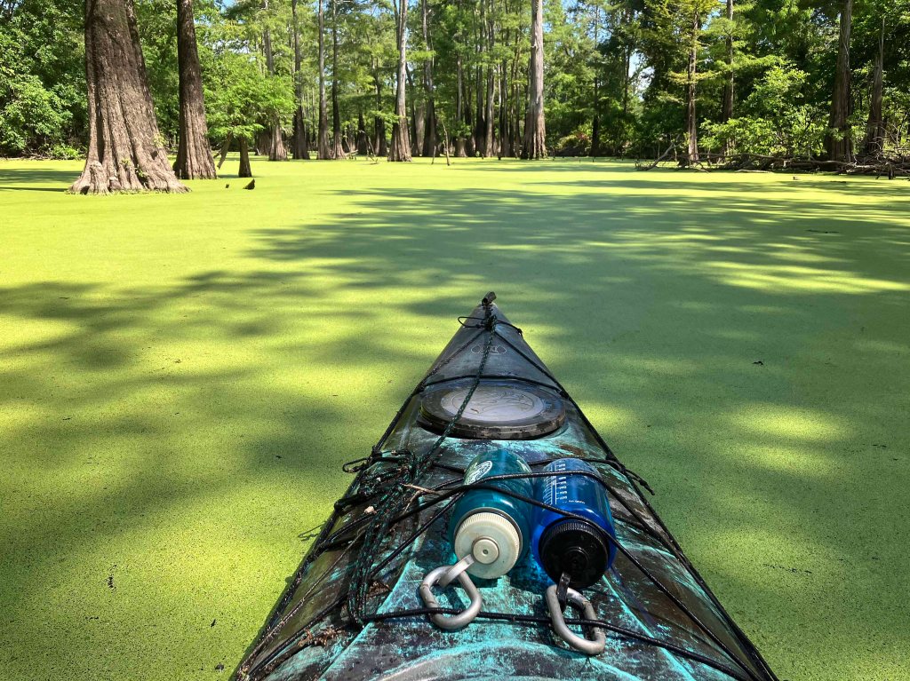 Kayak Paddle Scenery Picture Felsenthal NWR Beer Joint Arkansas www.SawdustRiver.com