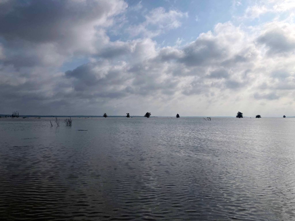 Kayak Paddle Scenery Picture Little River, Millwood Lake, Arkansas www.SawdustRiver.com