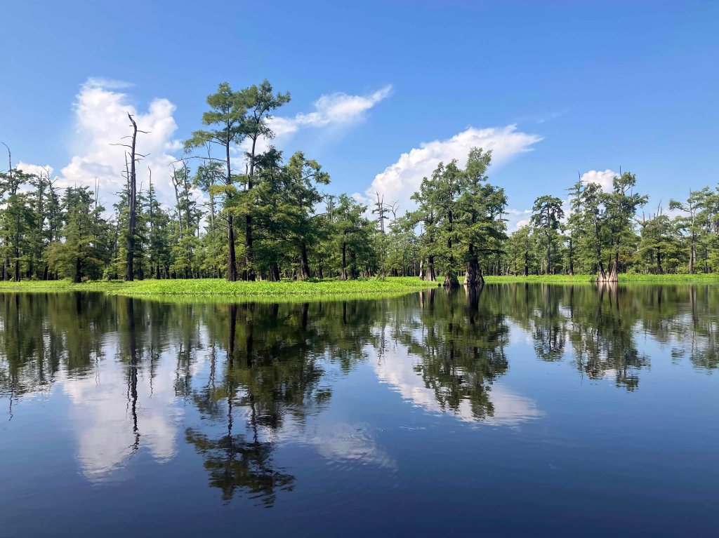 Kayak Paddle Scenery Picture Felsenthal NWR Arkansas www.SawdustRiver.com
