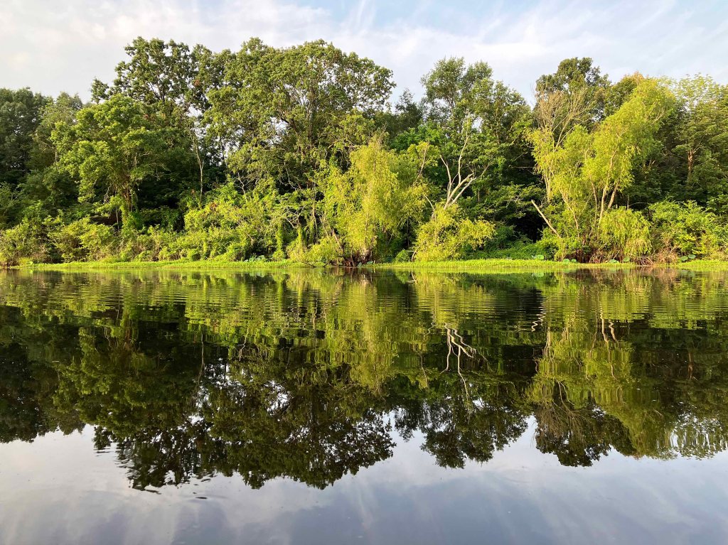 Kayak Paddle Scenery Picture Little River, Millwood Lake, Arkansas www.SawdustRiver.com