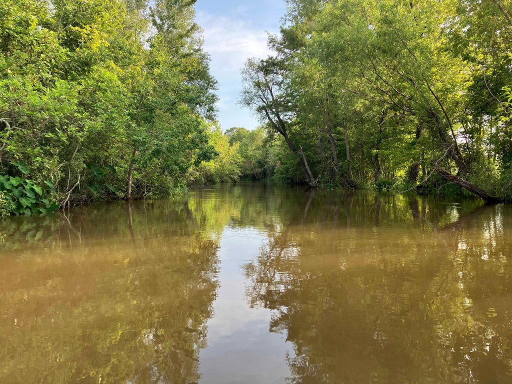 Kayak Paddle Scenery Picture Steinhagen Martin Dies State Park G www.SawdustRiver.com