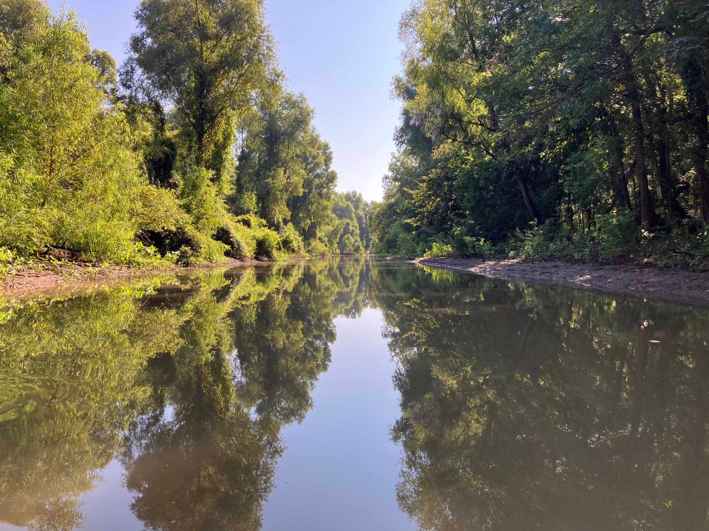 kayak scenery picture Atchafalaya Bayou Pigeon Little Tensas www.SawdustRiver.com