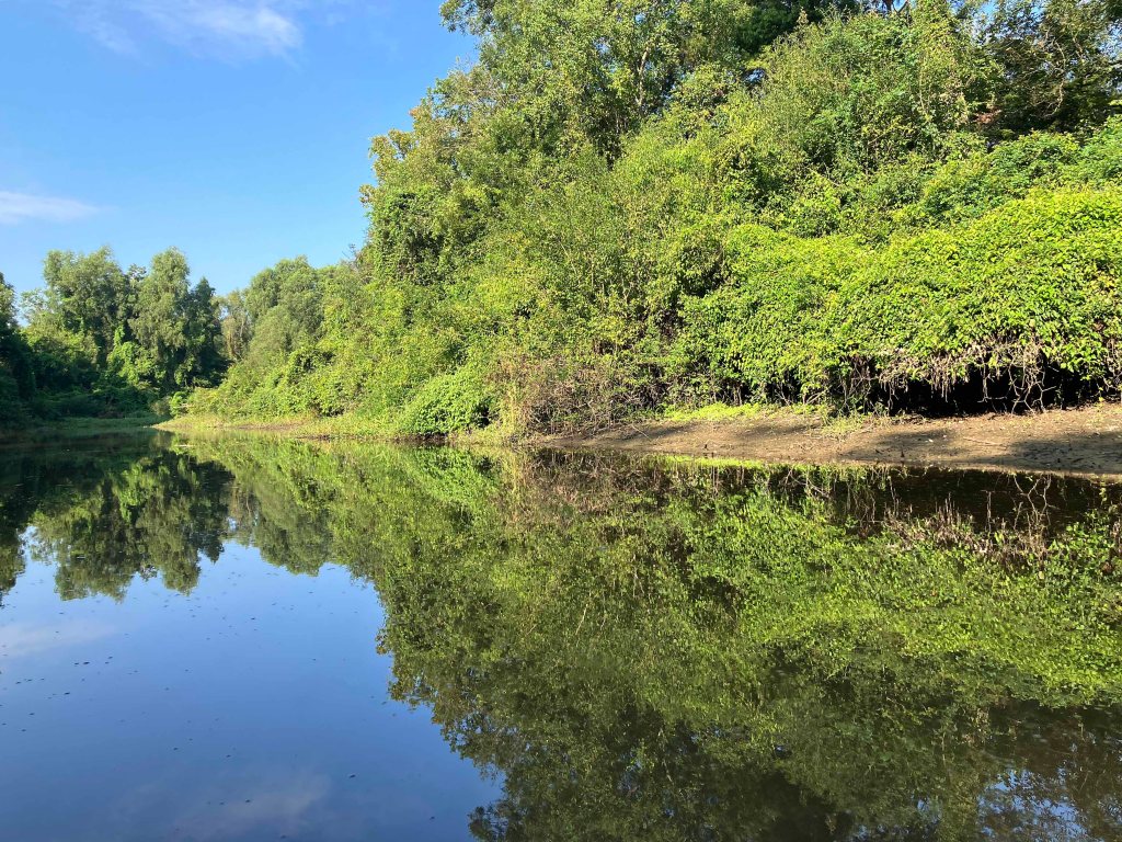 kayak scenery picture Atchafalaya Sandy Cove Launch www.SawdustRiver.com