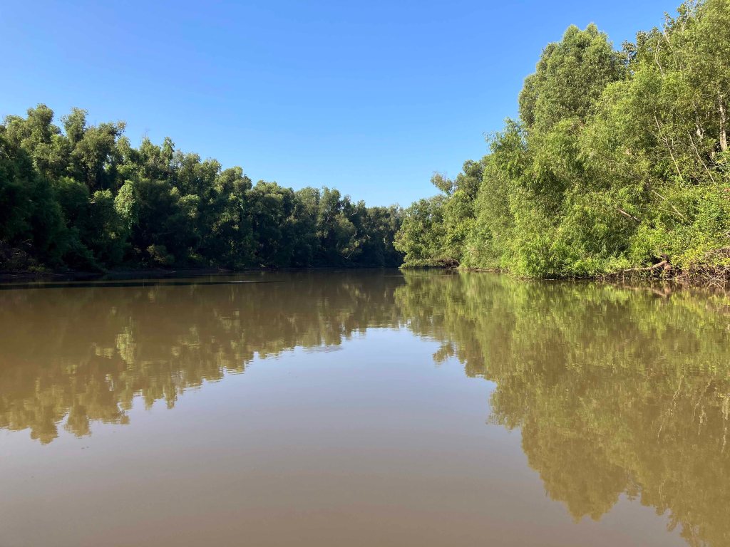 kayak scenery picture Atchafalaya Bayou Pigeon Little Tensas www.SawdustRiver.com