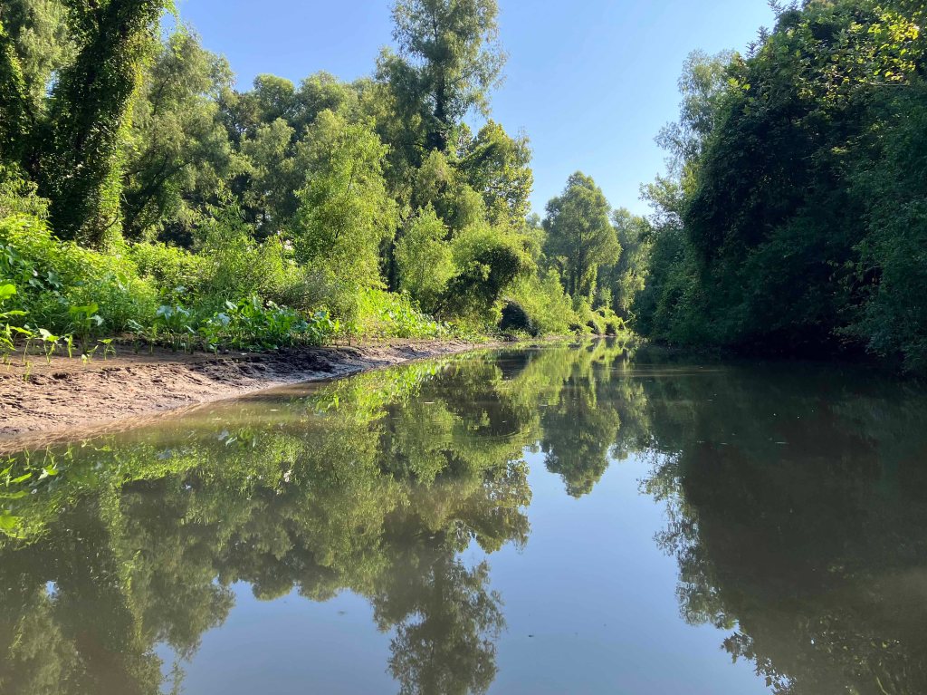 kayak scenery picture Atchafalaya Bayou Pigeon Little Tensas www.SawdustRiver.com