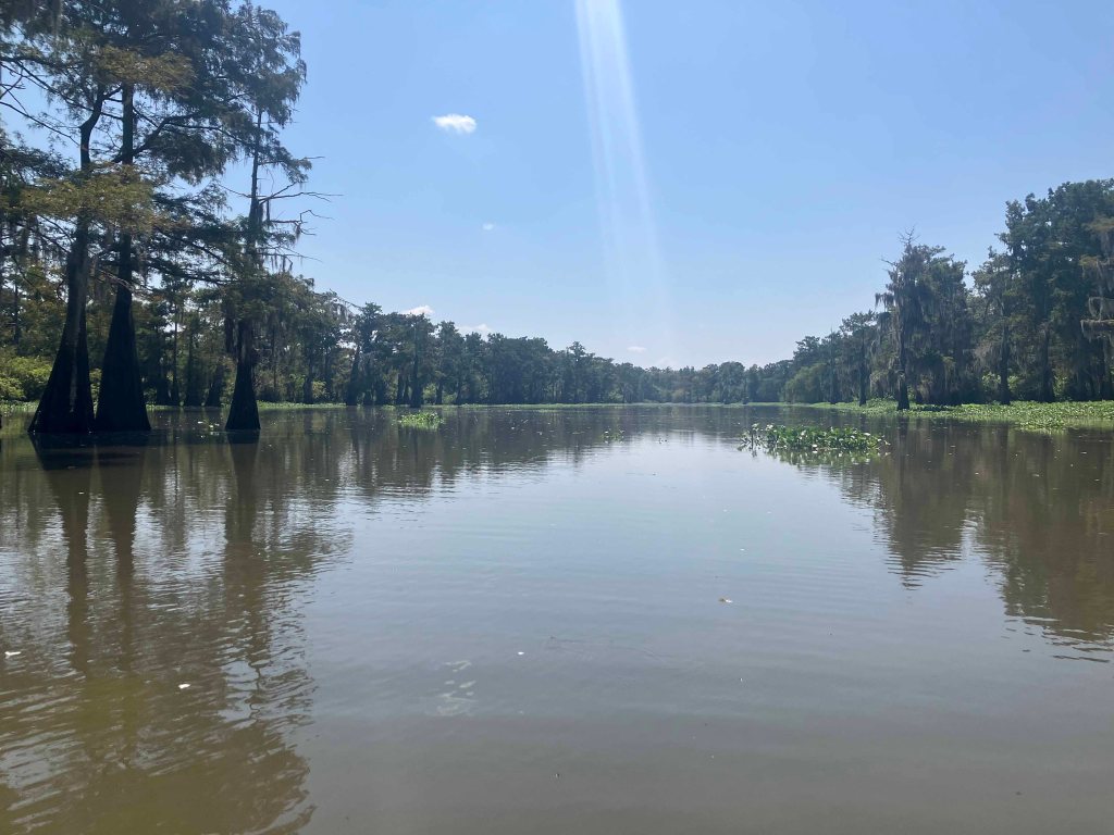 kayak scenery picture Atchafalaya Bayou Pigeon Little Tensas www.SawdustRiver.com