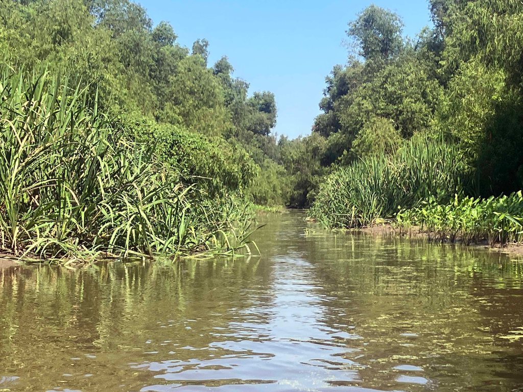 kayak scenery picture Atchafalaya Bayou Pigeon Little Tensas www.SawdustRiver.com