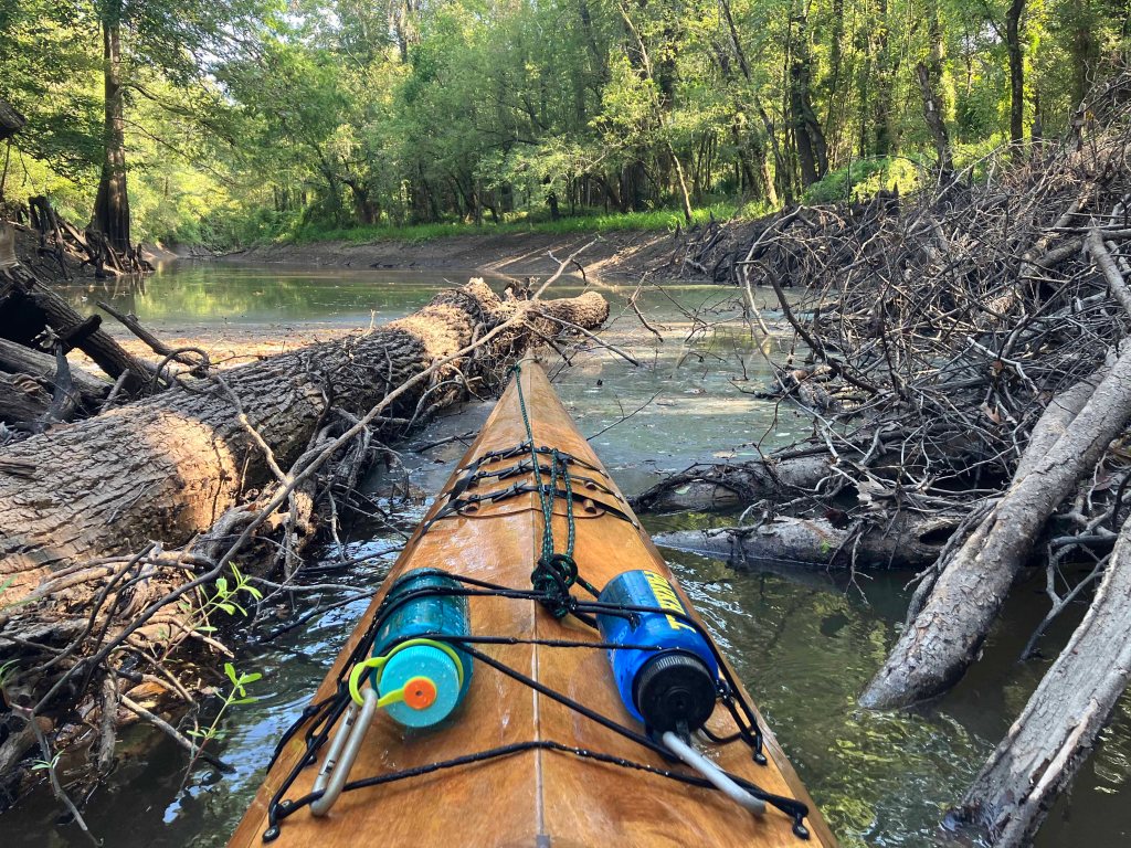 kayak through brush Atchafalaya NWR Sherburne WMA www.SawdustRiver.com