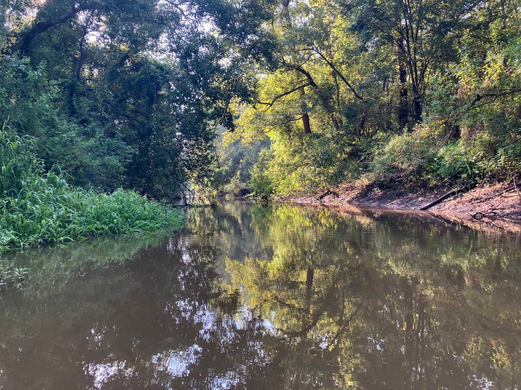 kayak scenery picture Atchafalaya Sandy Cove Launch www.SawdustRiver.com