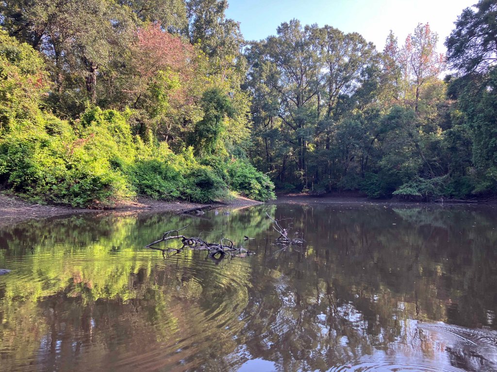 kayak picture scenery Atchafalaya NWR Sherburne WMA www.SawdustRiver.com