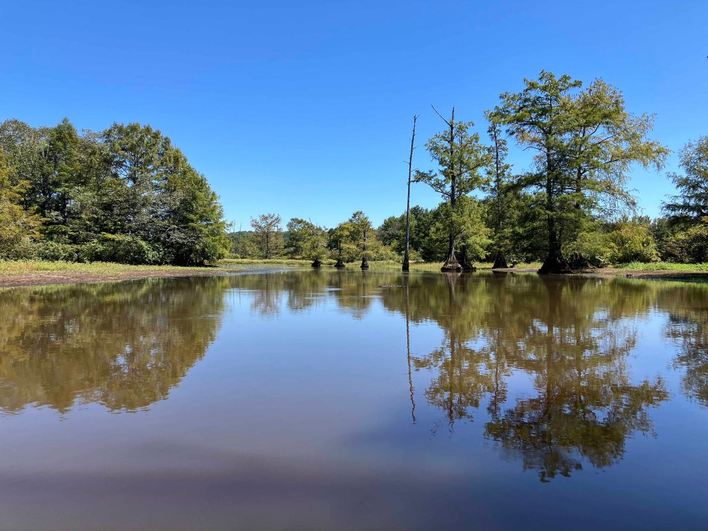 kayak scenery picture D'Arbonne Bayou, Gills Ferry Launch www.SawdustRiver.com