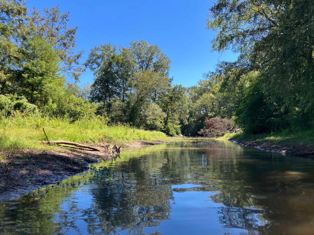 kayak scenery picture D'Arbonne Bayou, Gills Ferry Launch www.SawdustRiver.com